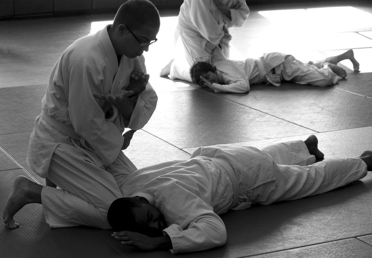 judo seminar